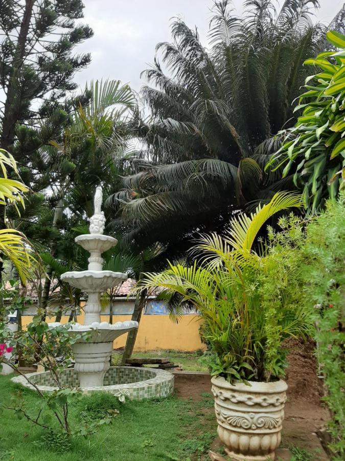 Inn Flores *